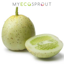 My Eco Sprout - Crystal Apple Cucumber Seeds
