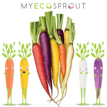 My Eco Sprout - Crazy Colourful Carrot Seeds