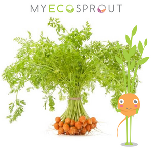 My Eco Sprout - Thumbelina Carrot Seeds