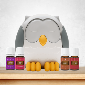 feather the owl diffuser bundle with lavender, RC, ginger and tea tree essential oils