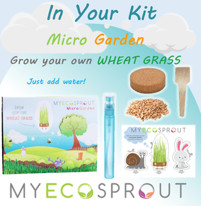My Eco Sprout - Microgreen Garden Kit