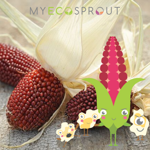 My Eco Sprout - Strawberry Popcorn