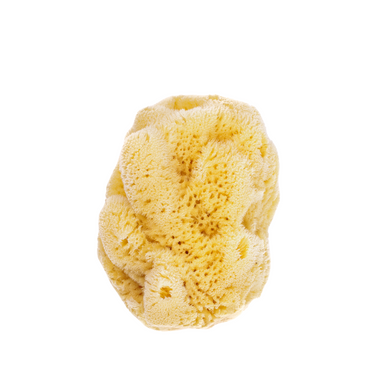 BabyNature - Natural Sea Sponge Baby Bath Sponge